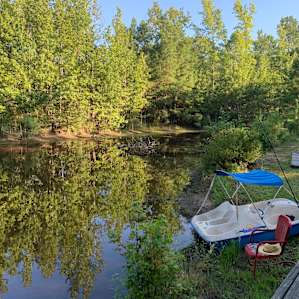 The pond was gorgeous and peaceful.