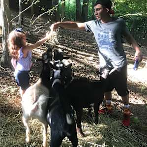 Feeding our goat friends