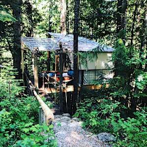 Owl's Nest Tree House @ AWPW