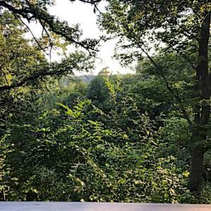 View from our cabin