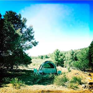 Tent Camp with Goats