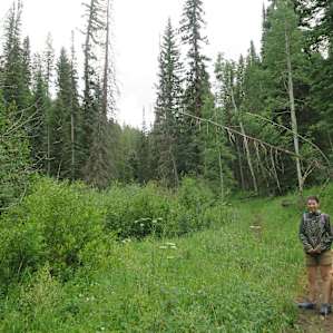 Tent Camping near bubbling brook