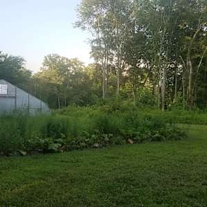 Pretty greenhouse next to campsite