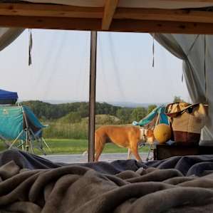 Runamuk Farm Tent 2