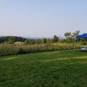 Runamuk Farm Tent 2