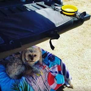 Our dog refused to leave this spot, haha.