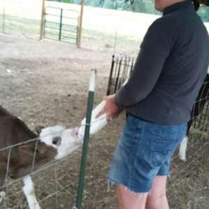 Sunset Farms Sanctuary