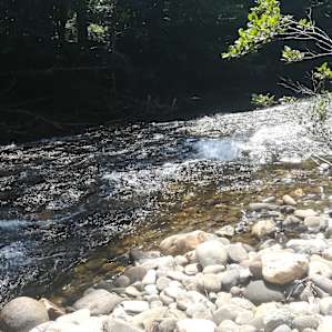 Tents on the Toe river