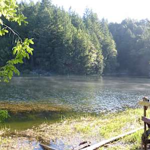 Early morning mist on the lake