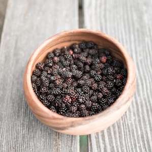 We loved picking the delicious blackberries on the property