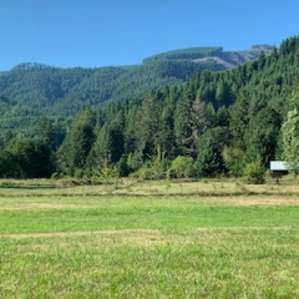 Looking out from camp toward pastures