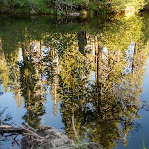 Big Bend Campground