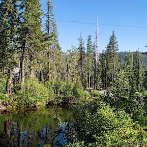 Big Bend Campground