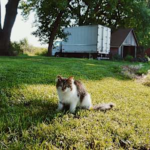 Little House on the Prairie!