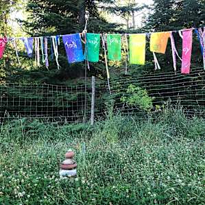 Owl's Nest Tree House @ AWPW