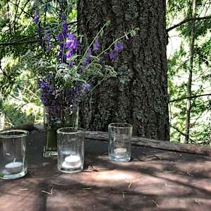 Owl's Nest Tree House @ AWPW