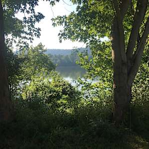 River View Camping Sandy Springs 2