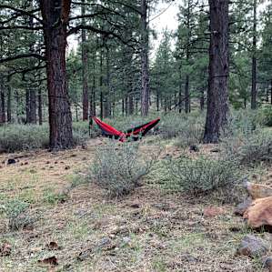 Daughter relaxing on the hammock