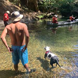 Camping on the Noyo- 9 Tent Sites