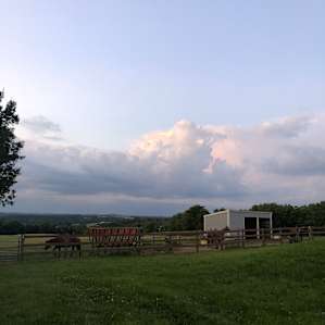 Breakaway Stables