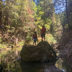 Camping on the Noyo- 9 Tent Sites