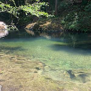 Camping on the Noyo- 9 Tent Sites