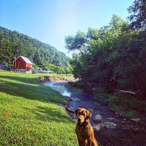 Big Trout Creek