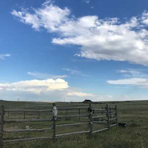 WYO. Big Horn Mtn. RV/Tent Camp!