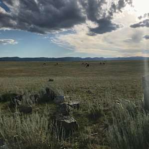 WYO. Big Horn Mtn. RV/Tent Camp!
