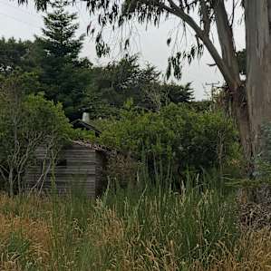 One of the abandoned old shacks on site