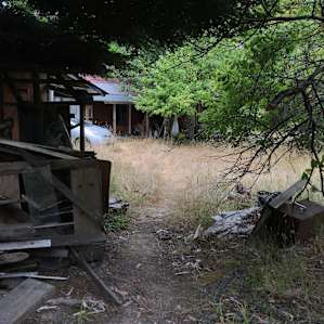 The overgrown path leading to the main house, through a gallery of decay