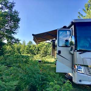 Our camping spot, lush greenery
