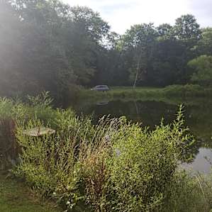Pond