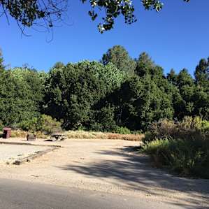 Campground spot #16 from road. No shade or shelter.