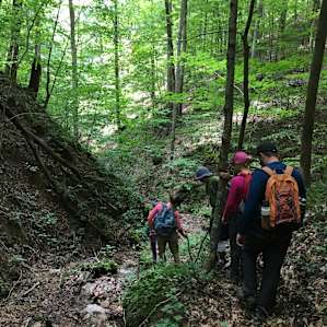 Hike back down from the cave.