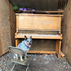 Photo of Bumps & Bruzas Riverfront - Bumps & Bruzas (145)