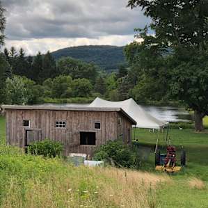 Pond Side Bell Tent