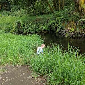 There is a bench by the river near the swimming hole