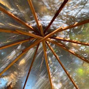 The gazebo ceiling