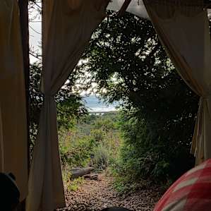 The view from the gazebo door
