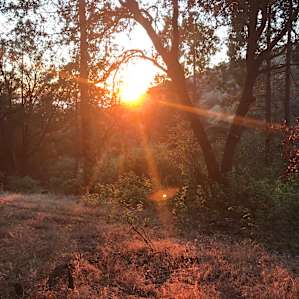 Camping at Harrison Serenity Ranch