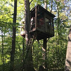 Forested Cabin Retreat