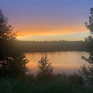 Camp Carroll