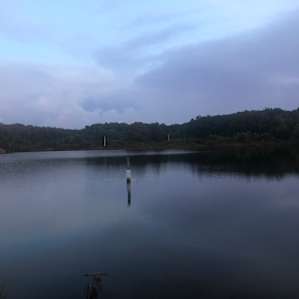Camp Carroll