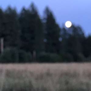 Thiselle Creek Farmstay