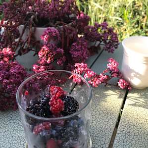 Thiselle Creek Farmstay