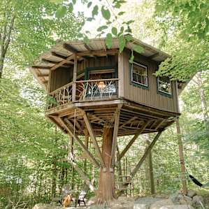 The Magical Treehouse!