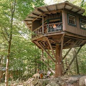The Magical Treehouse