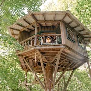 The Magical Treehouse