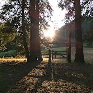 Trailhead